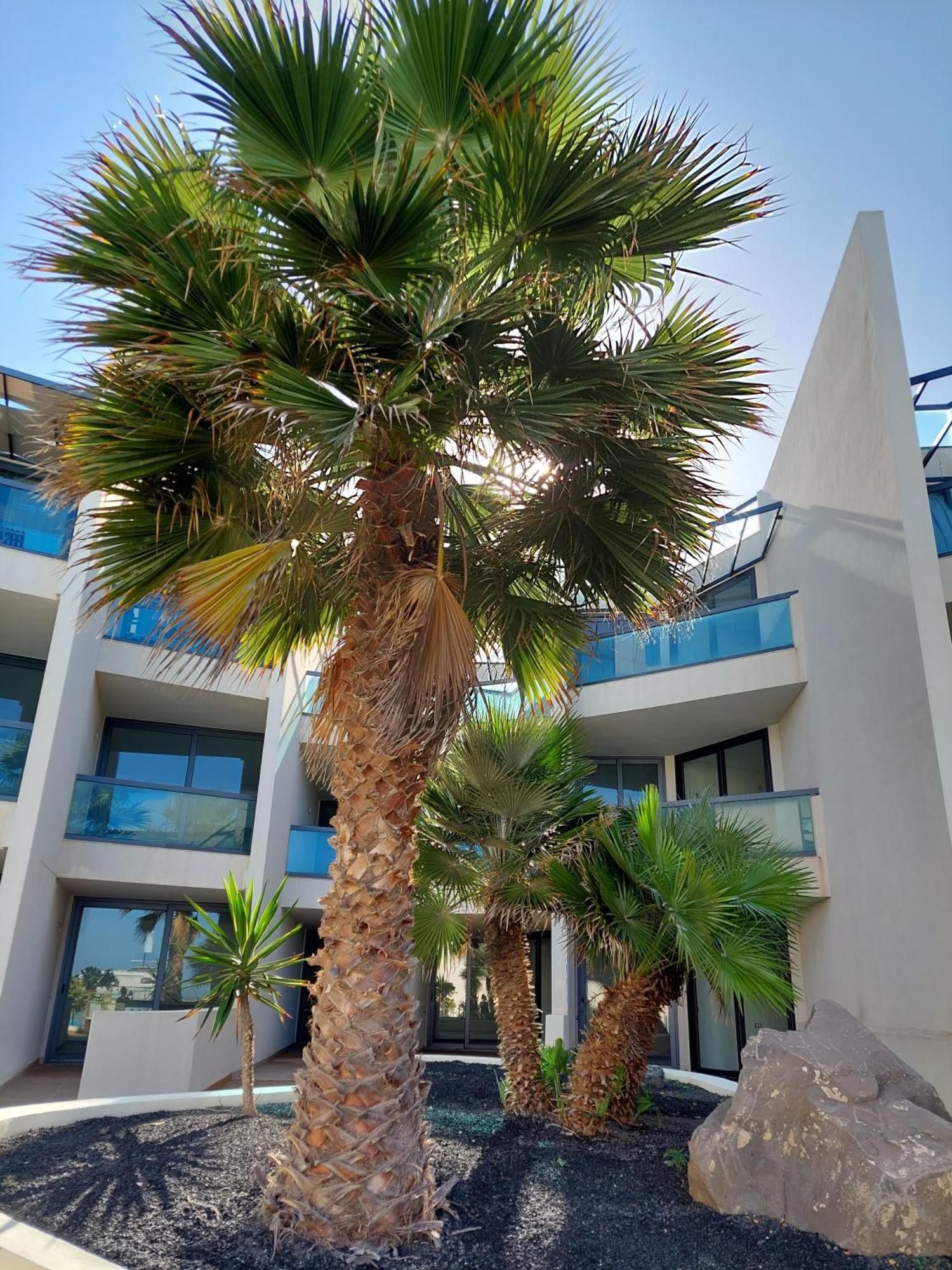 Sunset Spot Fuerteventura Cotillo Seaviews Premium Zewnętrze zdjęcie